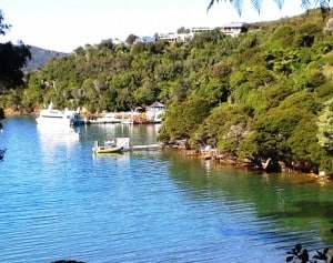 Coming into Punga Cove.