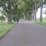 Cycling along Oak Avenue.