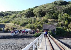 Arriving at Tiritiri Matangi.