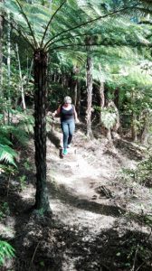 Up and down the bushy path on our way to Russell.