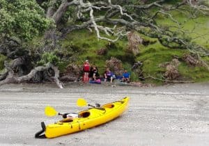 The lovely Dairy Bay - lunch stop.