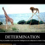 demotivational-posters-determination