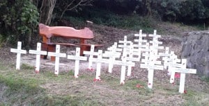 The ANZAC crosses.